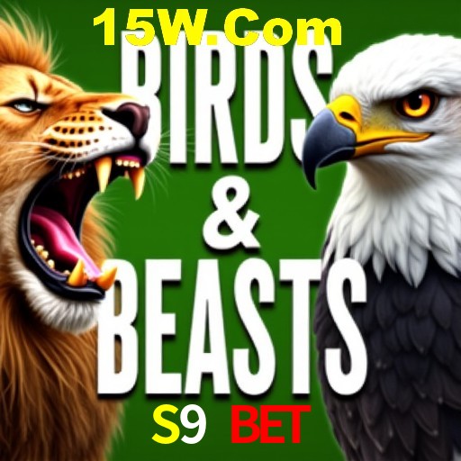 Apostas Esportivas na S9 Bet: Um Guia Completo